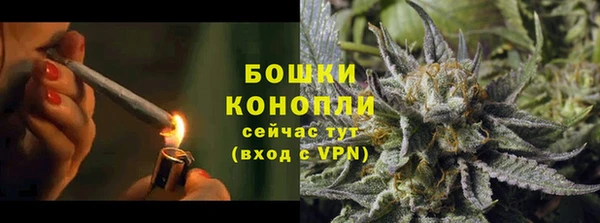 шишки Баксан