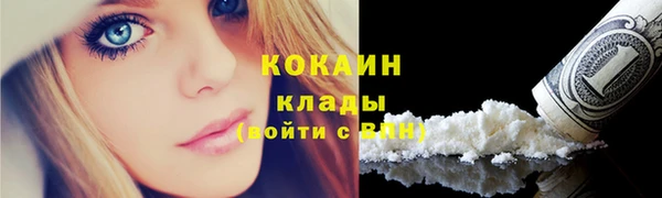 шишки Баксан