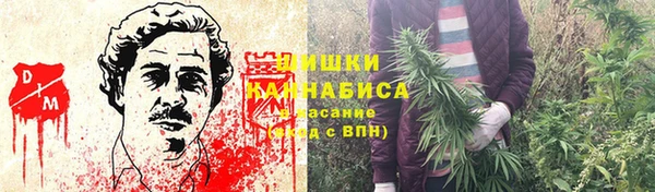 шишки Баксан