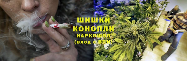шишки Баксан